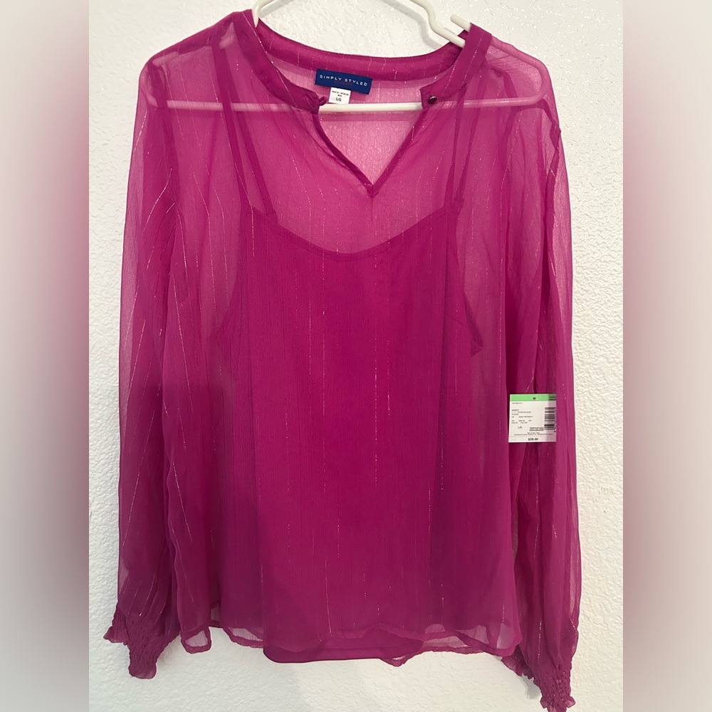 Sheer long sleeve blouse - Picture 1 of 2